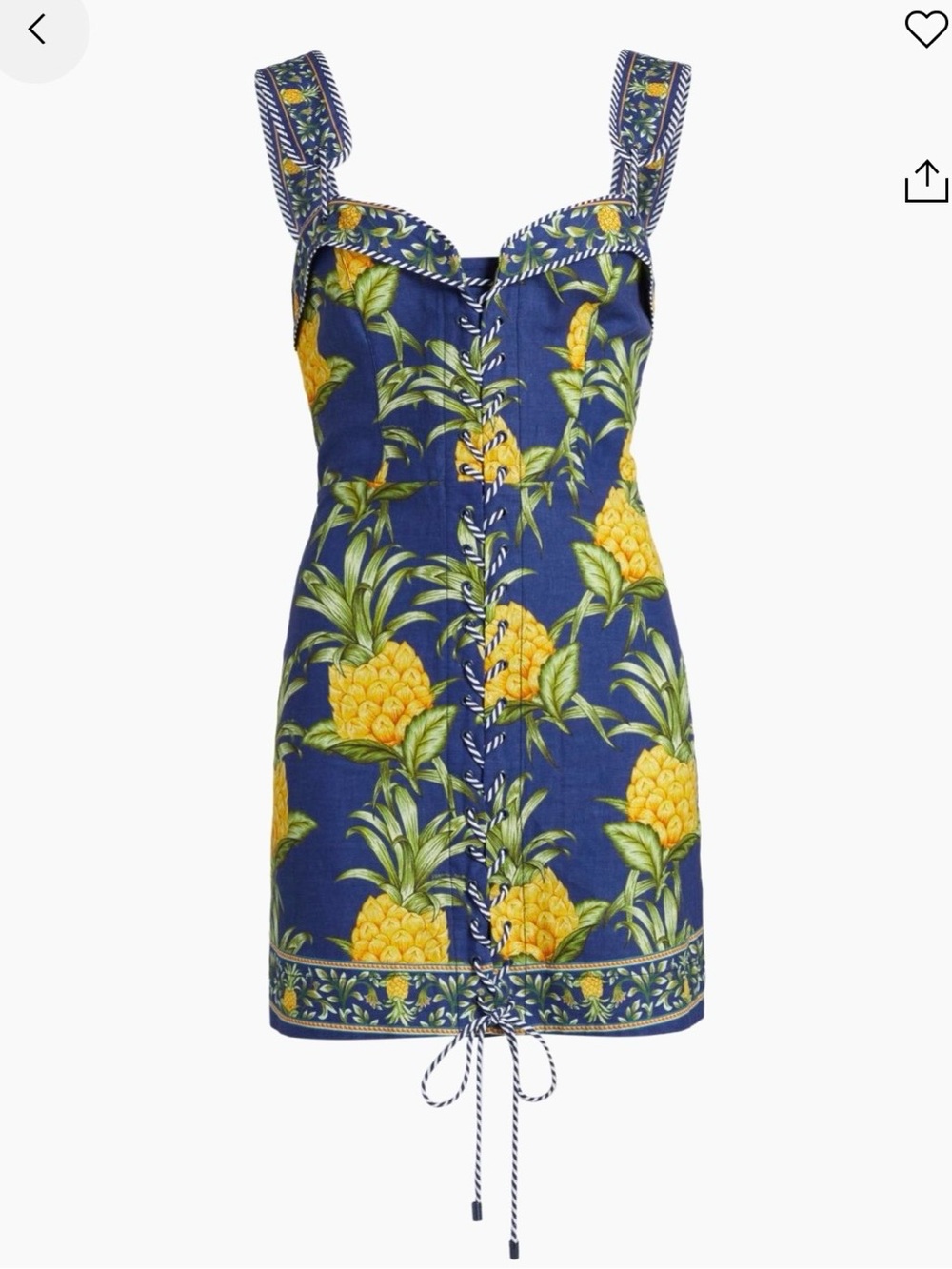 Farm Rio NWT | Delicate lace pineapple lace up mini dress - Picture 2 of 2